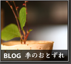 �a�َq�̂��镗�i